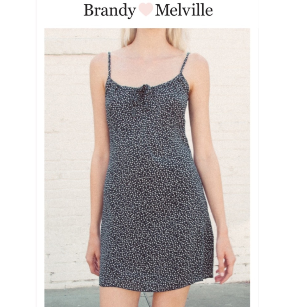 NWOT Josefine dress